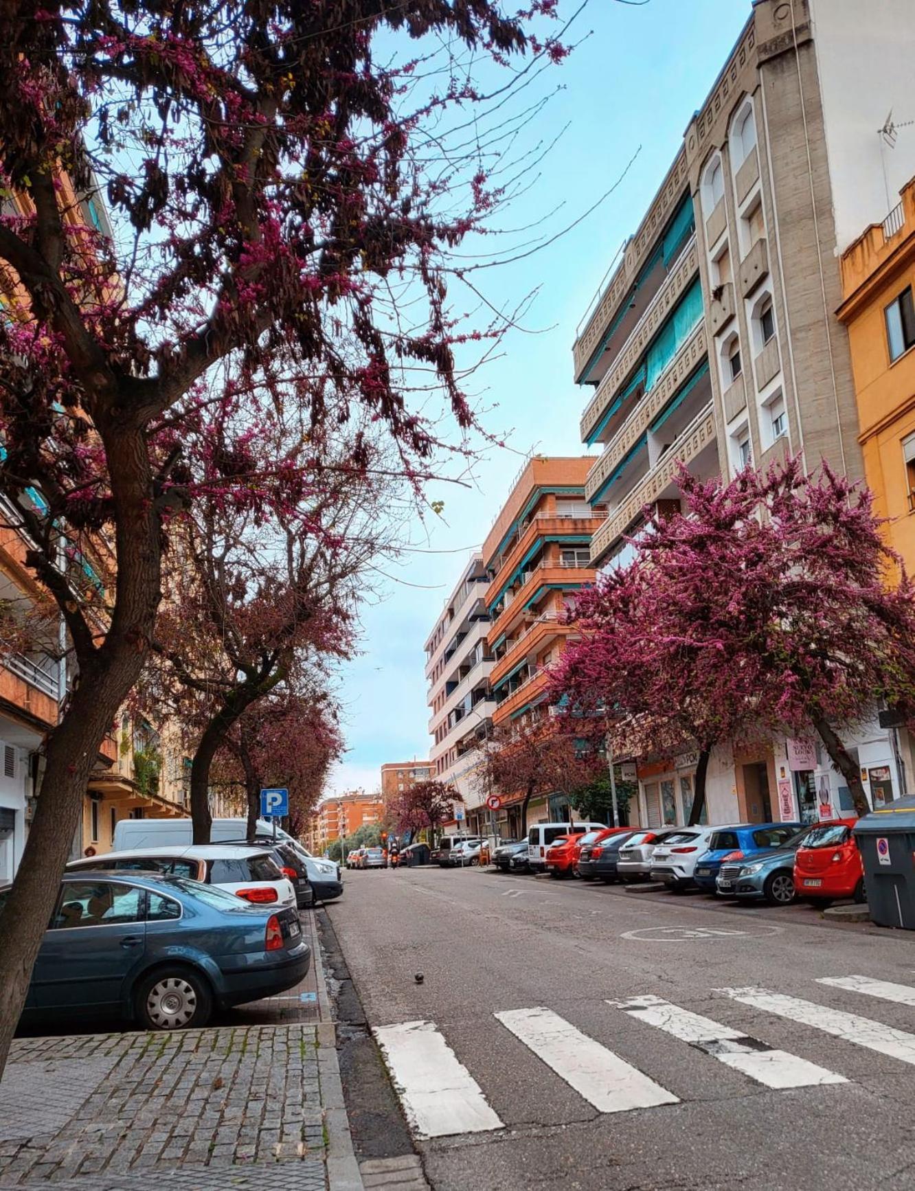 Vintage Apartment Cordoba Luaran gambar