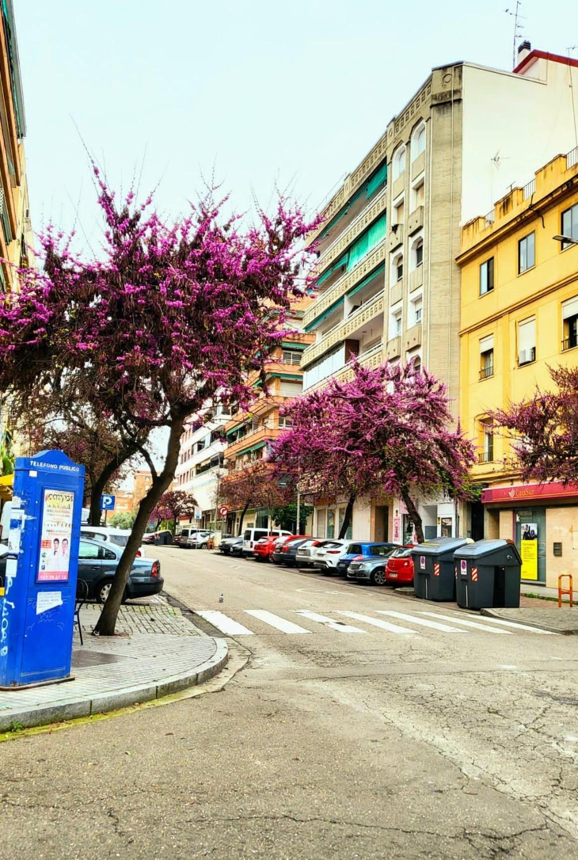 Vintage Apartment Cordoba Luaran gambar